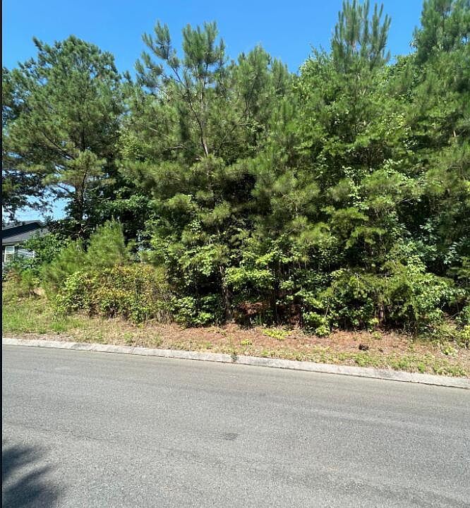 2nd image of 46 Peavine Way