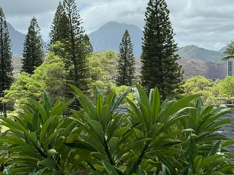 427 Paumakua Pl #2 — Photo 12