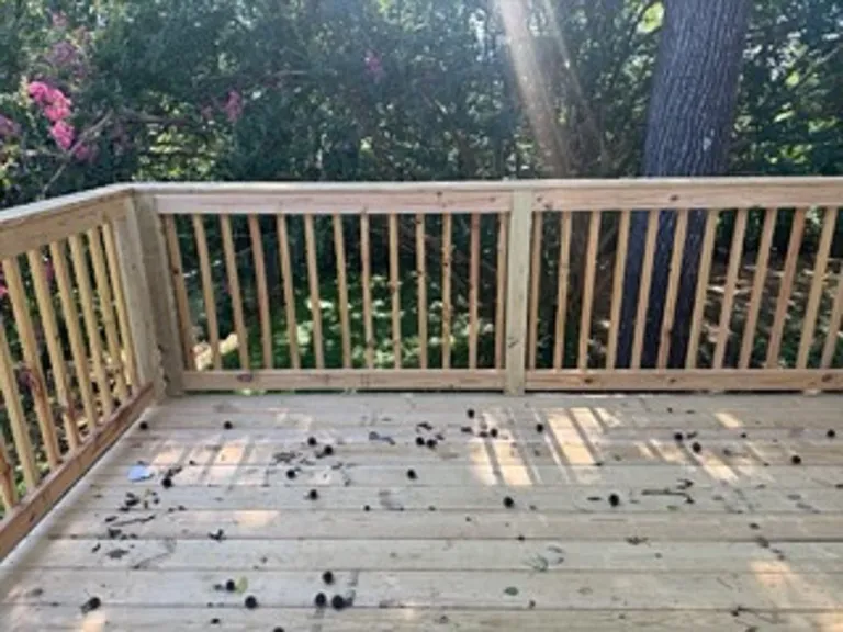 New Deck