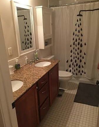 Bathroom with 2 sinks!