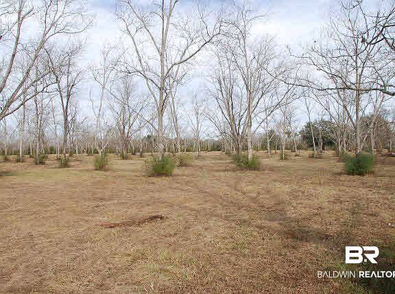 2nd image of 14877 Woodhaven Dairy Rd