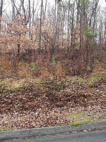 1st image of 2209 Shannon Dr