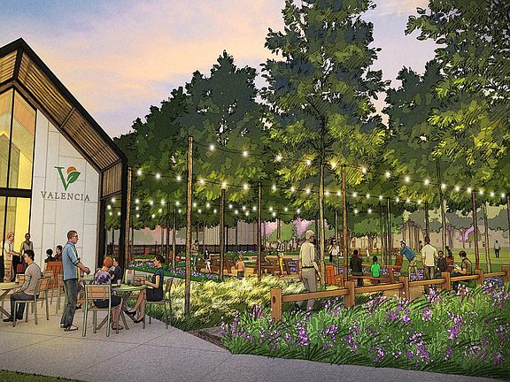 5th image of 18626 Citrange Bend Way