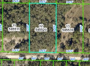 0 Buildingstone St, Webster, FL 33597