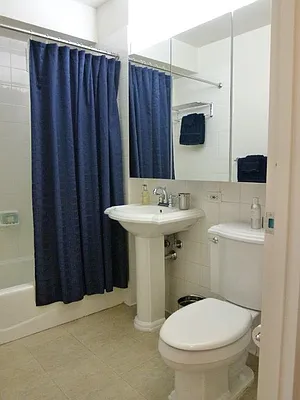 Rented by Carnegie Hill Place | media 13