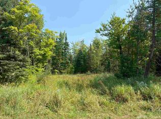 Yalmer Rd, Skandia, MI 49885