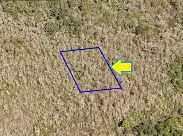 0 Access Lot 4.03, Mims, FL 32754