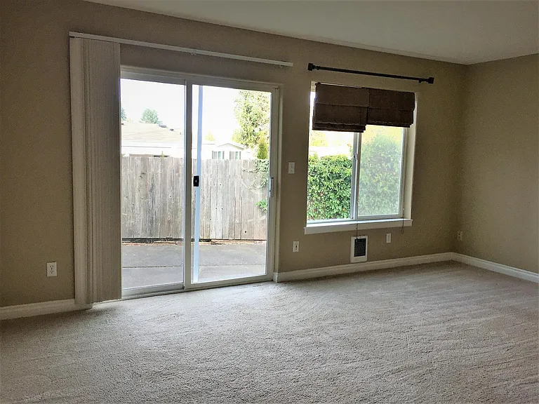Living room patio doors and window