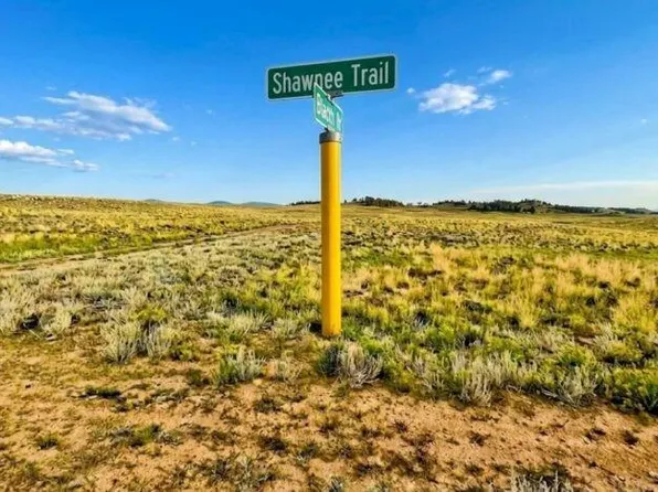 10341 Caddo Road, Hartsel, CO 80449