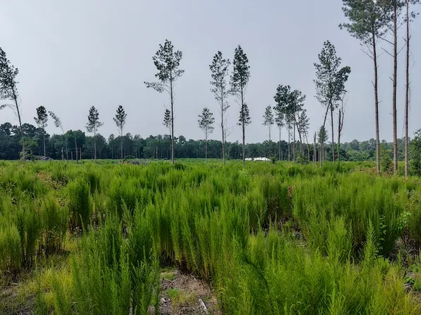 0 Scott St Lot Wp002, Saint Matthews, SC 29135