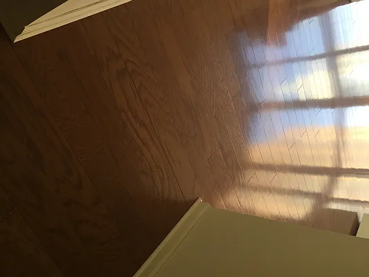 Rented by Chelsea Tower | media 9