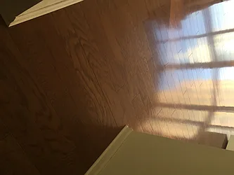 Rented by Chelsea Tower