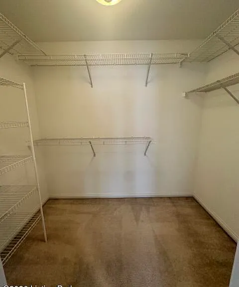 10600 Norton Commons Walk — Photo 23
