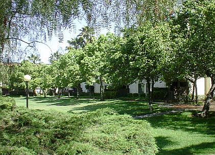 Well-lit Park Like Grounds