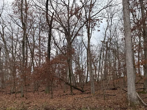 253 Palisades Dr #2, Lake Ozark, MO 65049