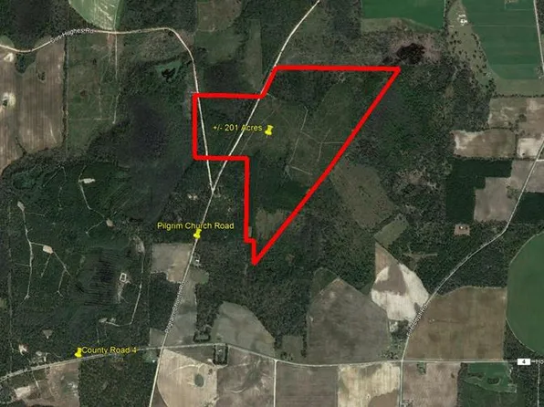 Pilgrim Church Rd, Gordon, AL 36343
