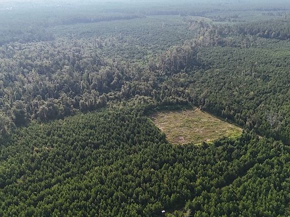 5th image of Dido Loop Lot Wp004