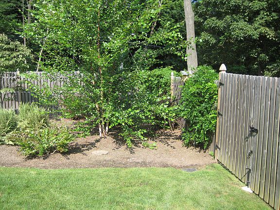 Fenced in backyard