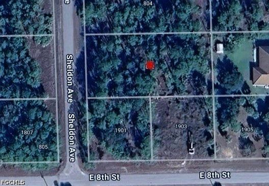 2nd image of 802 Sheldon Ave