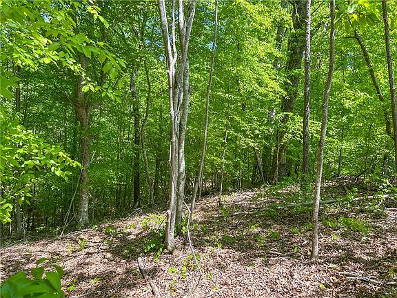 5th image of 0 Highway 22 E
