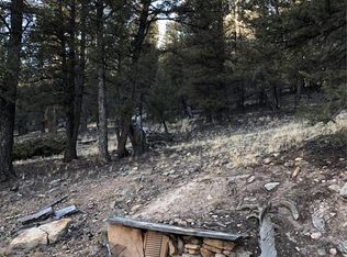 2447 Redhill Rd, Fairplay, CO 80440