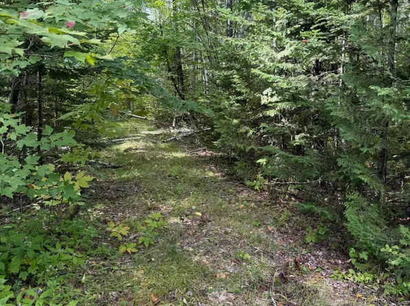 M1 L74 Lyford Road, Orneville Twp, ME 04463