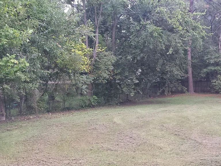 138 Hickory Dr — Photo 20