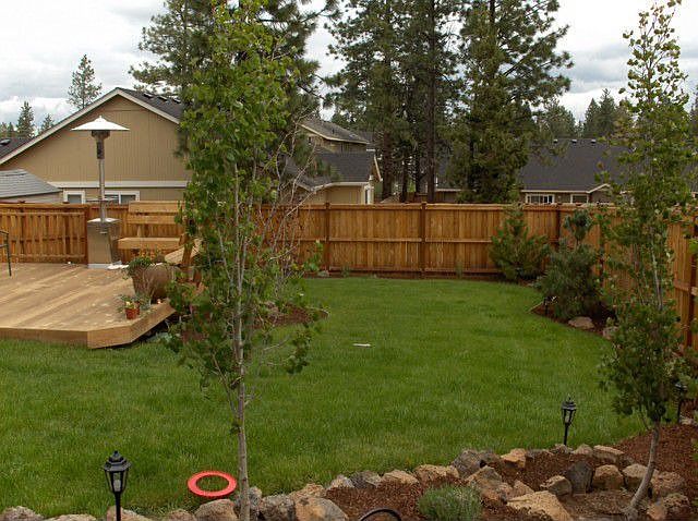 The backyard.  The plants have now matured and look amazing.
