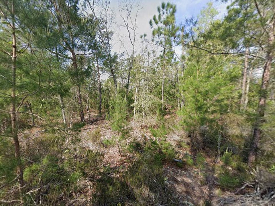 2nd image of 225 Maple Dr #26