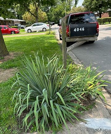 5th image of 4046 Bruene Ave