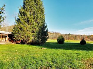 952 Canoe Run Rd, Jersey Shore, PA 17740