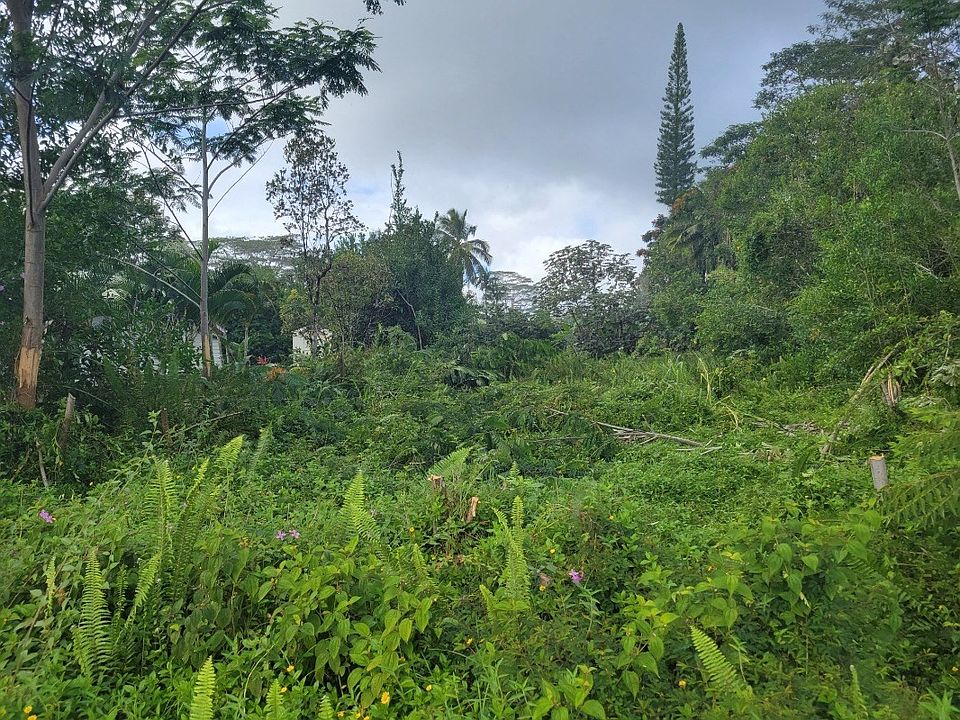 1st image of Puni Mauka Loop S Lot 187