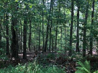 5 Noontootla Overlook, Blue Ridge, GA 30513