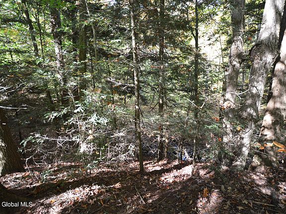4th image of L17 Seneca Ridge Road