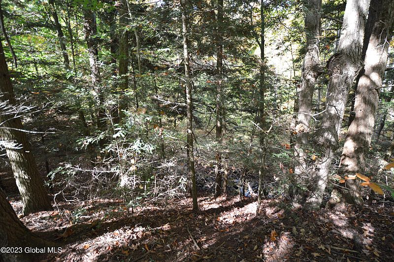 4th image of L17 Seneca Ridge Road
