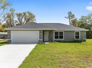 381 Fisher Rd, Ocklawaha, FL 32179