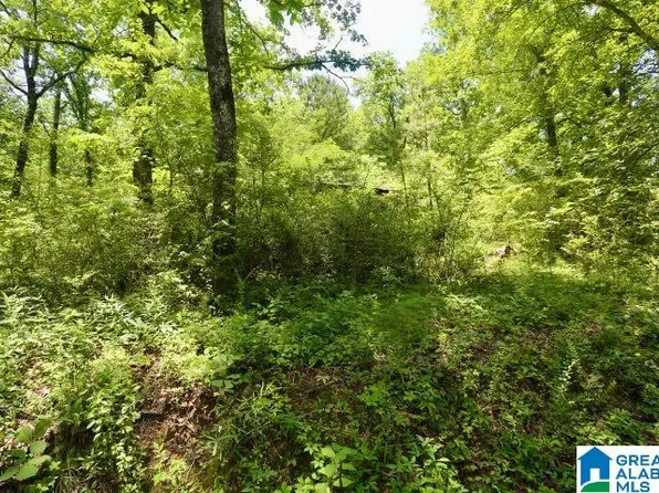 2136 Prado Dr #0, Trussville, AL 35173