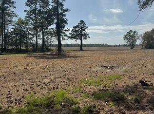 8624 Swamp Fox Hwy E, Tabor City, NC 28463