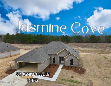 304 Jasmine Cove Ln, Brandon, MS, 39042