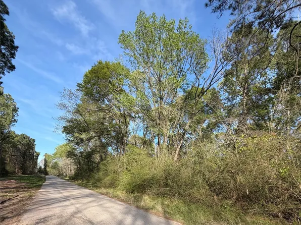 Jackson Rd, Coldspring, TX 77331
