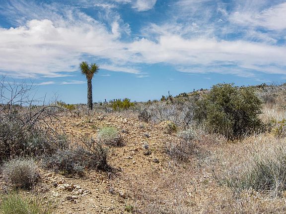 2nd image of 58365 Cereus Ave