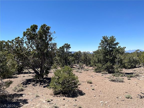 5th image of Lomprey Ln