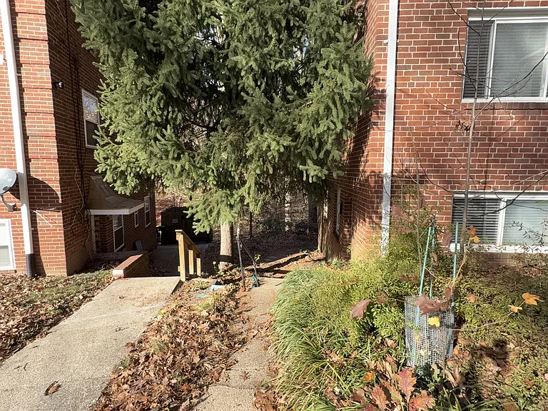 8316 Roanoke Ave #1 — Photo 13