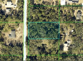 Alloy St Lot 14, Webster, FL 33597