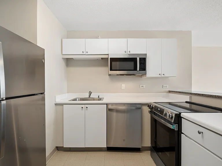 2 E Erie St #3614 — Photo 7