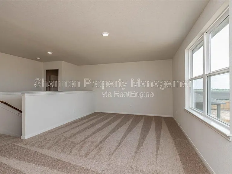 20722 Nala Bear Dr — Photo 11