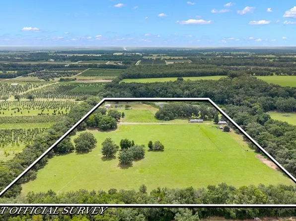 16450 SE 67th Pl, Morriston, FL 32668