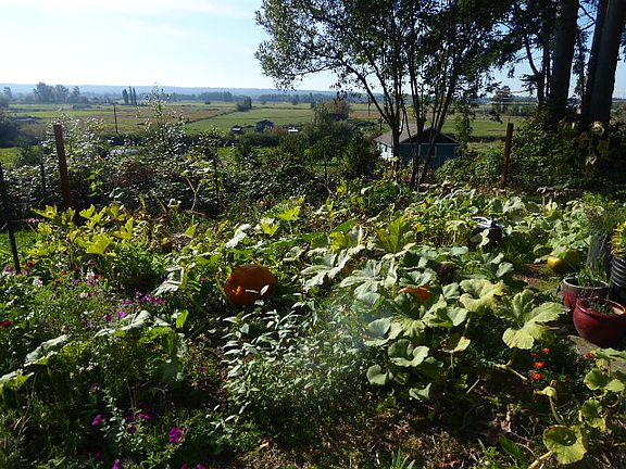 Fenced garden with views