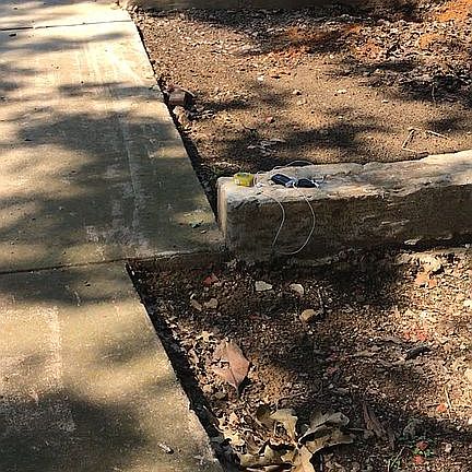 3rd image of 729 Red Wing Dr