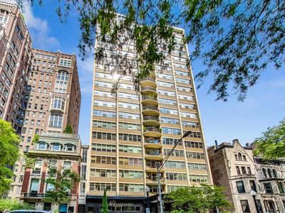 40 E Cedar St APT 12B, Chicago, IL, 60611